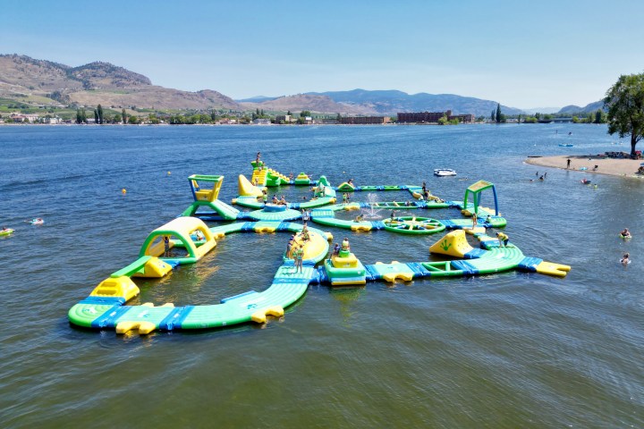 a group of people riding skis on a body of water